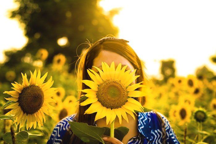 Photo of a sunflower covering a person's face