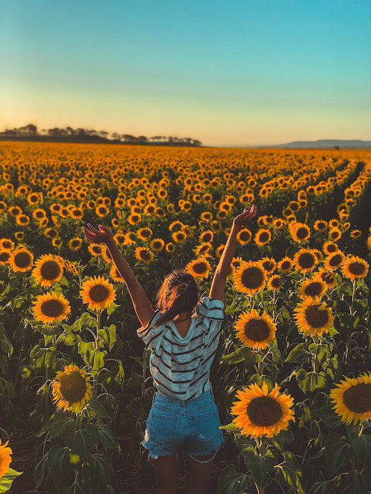 photography poses sunflower field