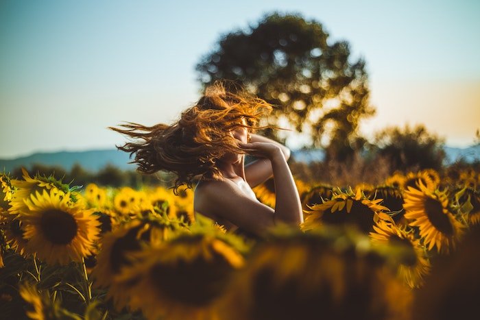 A model swinging her hair in the light in the middle of a sunflower field