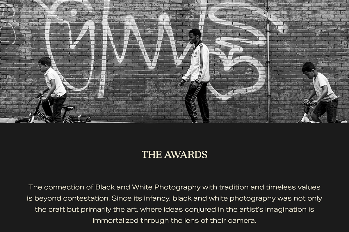 Monochrome Awards website for photography contests