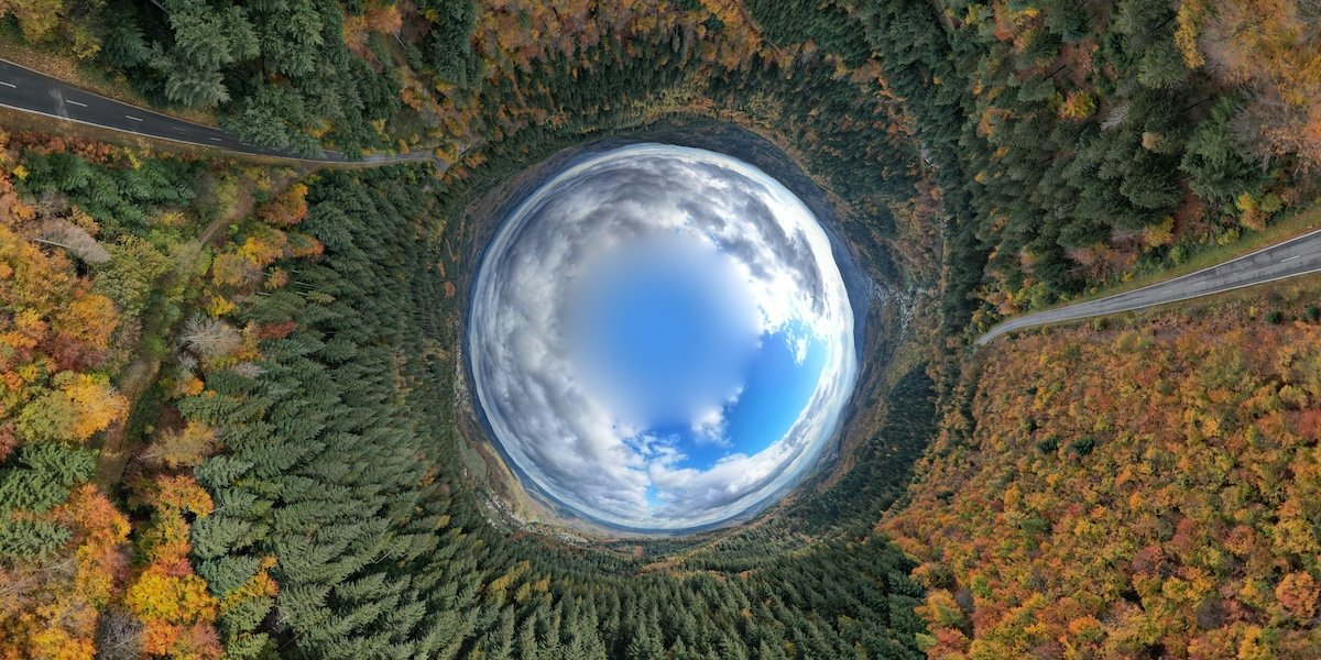 A spherical 360 panoramic view of a forested autumn landscape
