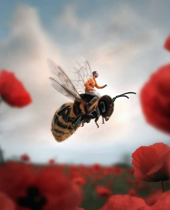 Pequeno homem montando uma abelha voadora através de um campo de papoulas como um exemplo de fotografia de conto de fadas