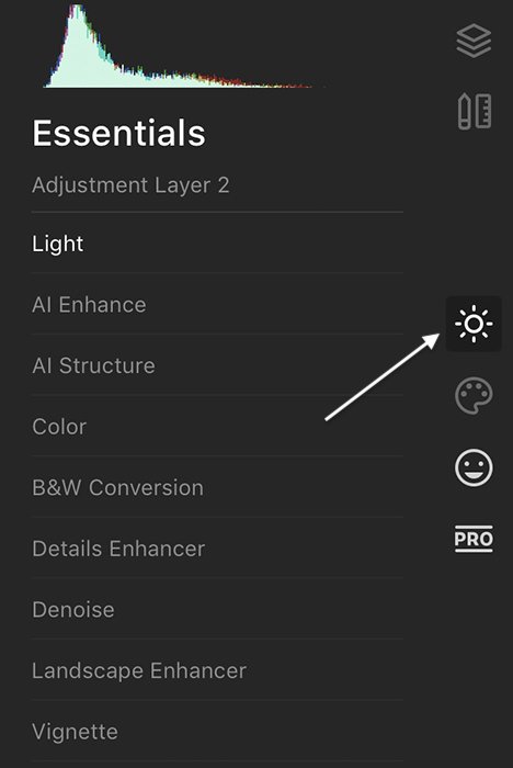 Screenshot of Luminar 4 essentials
