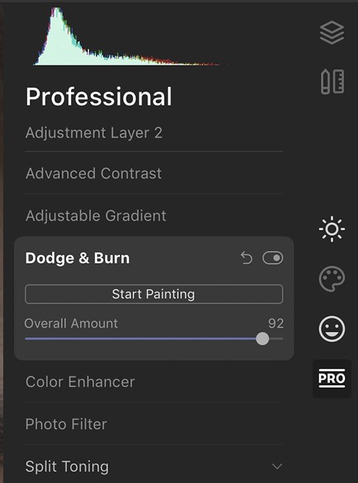 Luminar 4 screenshot of Professional tools