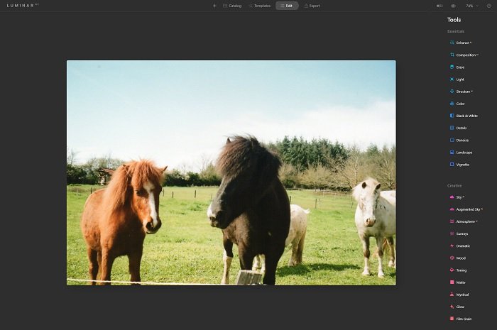 Luminar AI screen with photo of ponies next to the toolbar