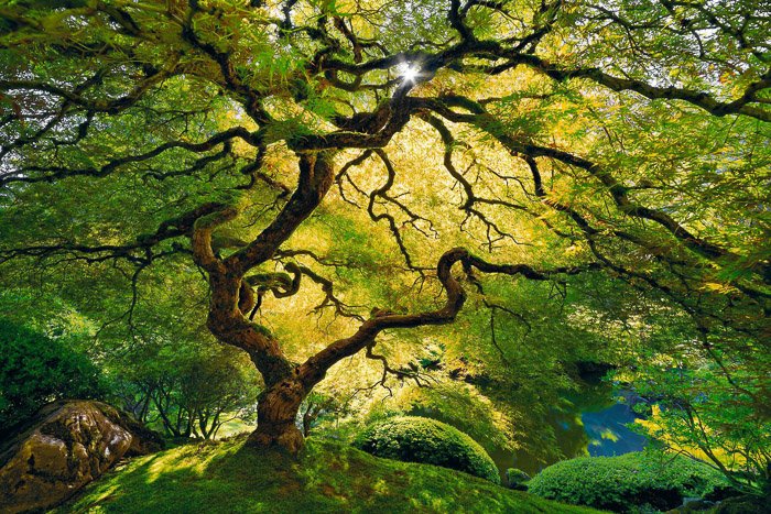 The Peter Lik Debate   Photography Genius or Big Fake  - 15