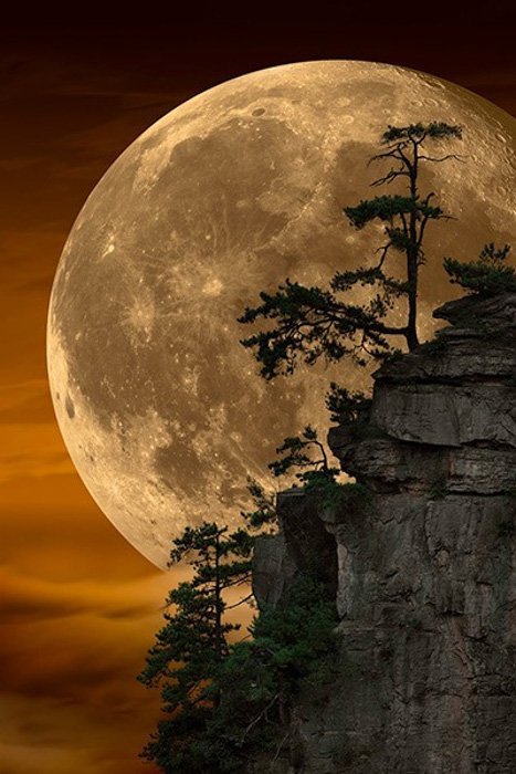 photo of big moon behind cliff with trees