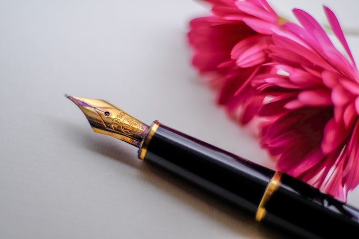Old fashioned ink pen with pink flower