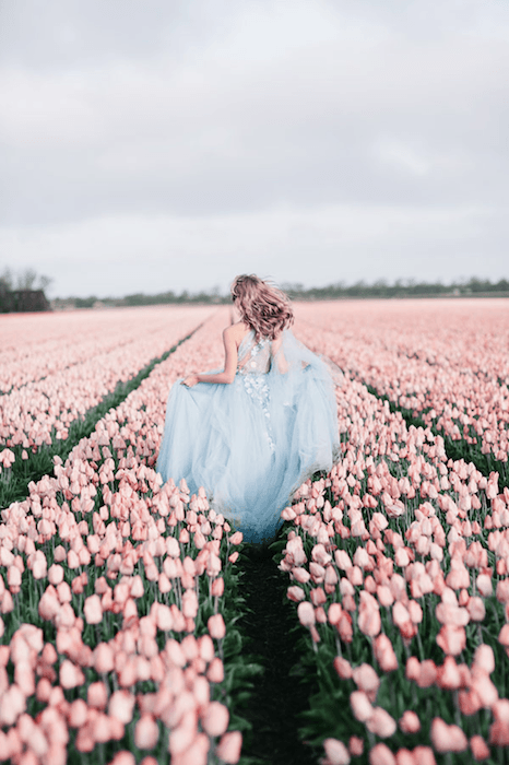 Mulher de vestido azul correndo por um campo de tulipas