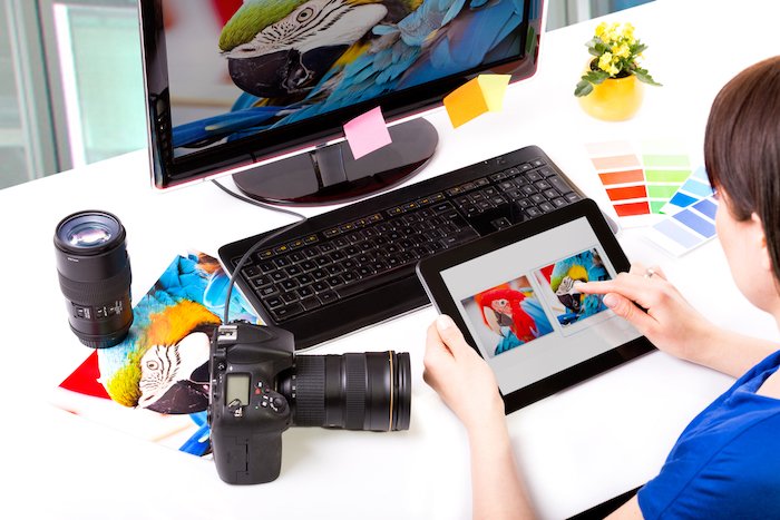 Photo editor working on computer and graphics tablet with colorful parrot photos