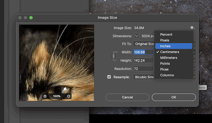 Sizing panel to change picture dimensions showing 4x6 photo actual size