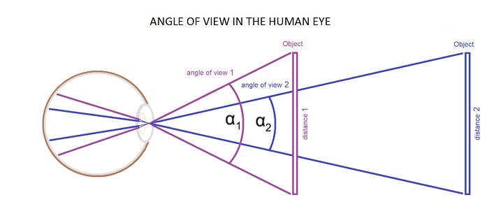 Diagrama do ângulo de visão no olho humano.