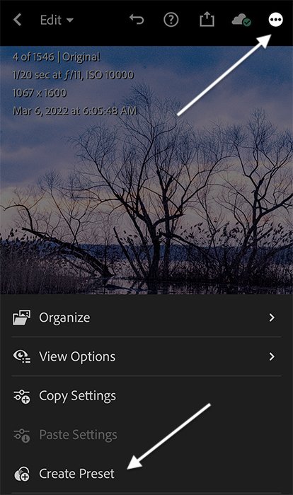 Lightroom mobile screenshot creating preset from DNG file
