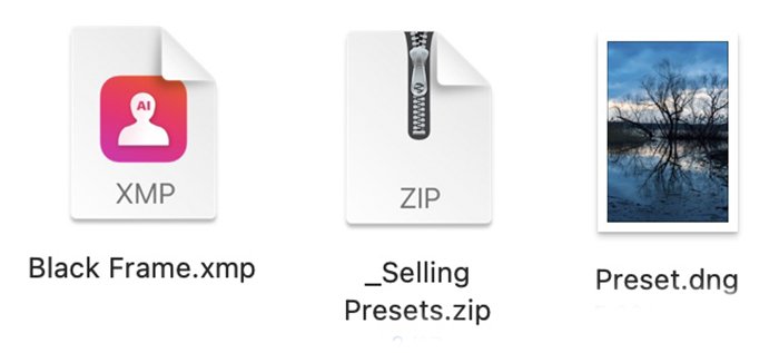 Icons for three preset file types XMP ZiP and DNG
