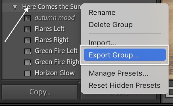 Lightroom classic screenshot of export group