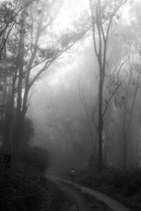 How to Photograph Fog - 12 Tips for Mystical Fog Photography