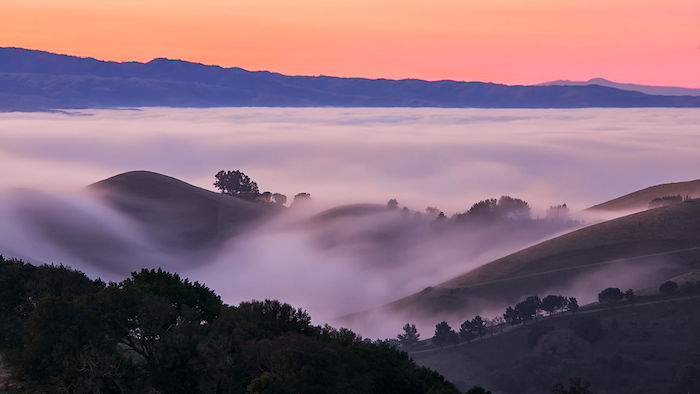 How to Photograph Fog   12 Tips for Mystical Fog Photography - 57