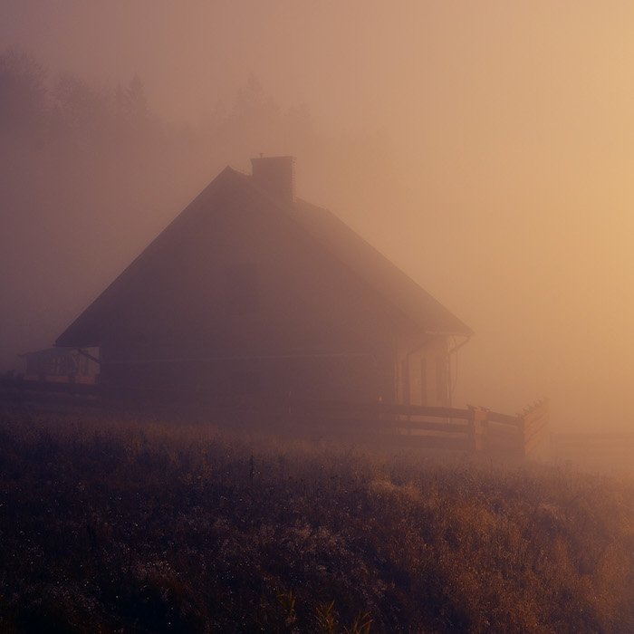 A house is hidden inside dawn-lit mist as an idea for a fog photoshoot