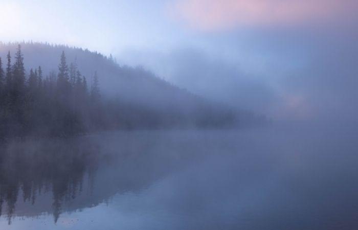 How to Photograph Fog   12 Tips for Mystical Fog Photography - 88