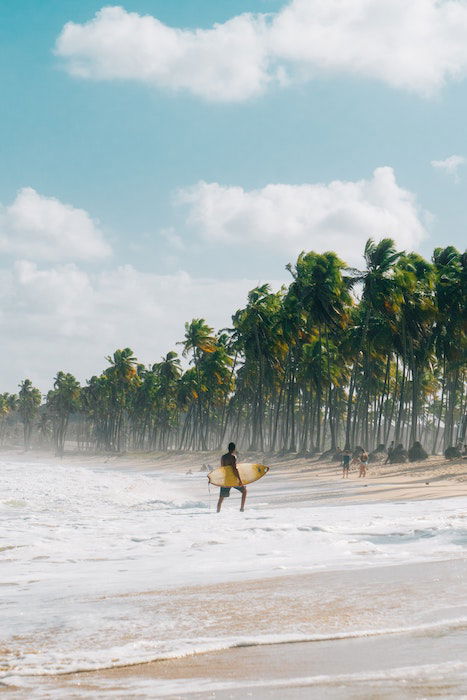 A surfer stands in breaking waves in front of palm trees on a windy beach as an example of surf photography