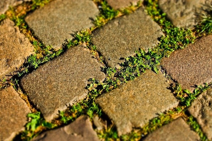 A tilt shift shot of cobbles with grass and weeds