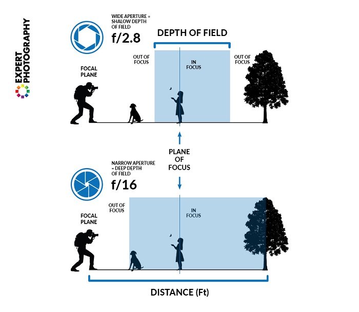 an illustration explaining depth of field in photography