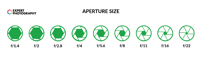an illustration of the F Stop scale for understanding what is aperture size