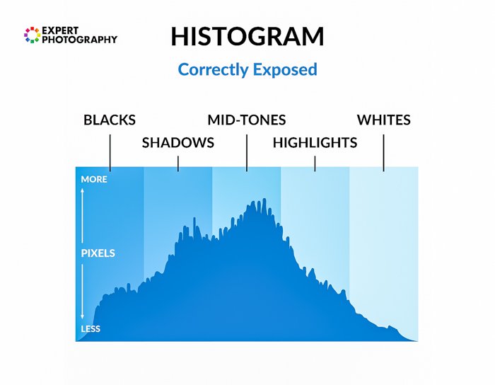 illustration of a histogram of well exposed image