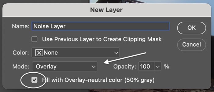 Photoshop screenshot of adding a noise layer
