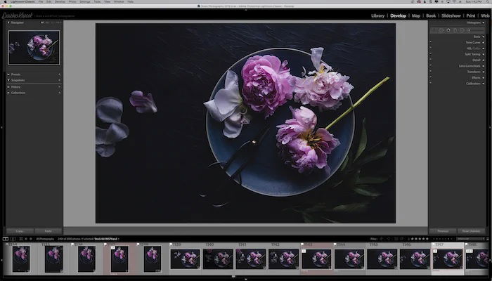 Lightroom catalog screenshot