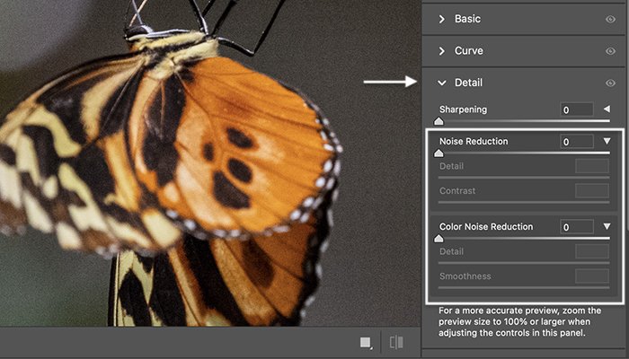 Photoshop screenshot of fileter detail in adobe camera raw