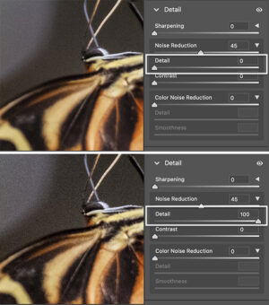 How To Reduce Noise In Photoshop 4 Best Techniques How To Reduce Noise In Photoshop 4 Best Techniques