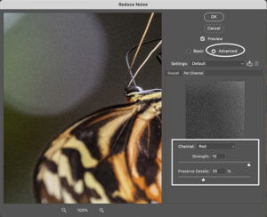 How To Reduce Noise In Photoshop 4 Best Techniques How To Reduce Noise In Photoshop 4 Best Techniques