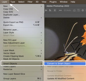 How To Reduce Noise In Photoshop 4 Best Techniques How To Reduce Noise In Photoshop 4 Best Techniques
