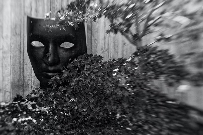 花园中的人脸雕像作为针孔摄影的一个例子