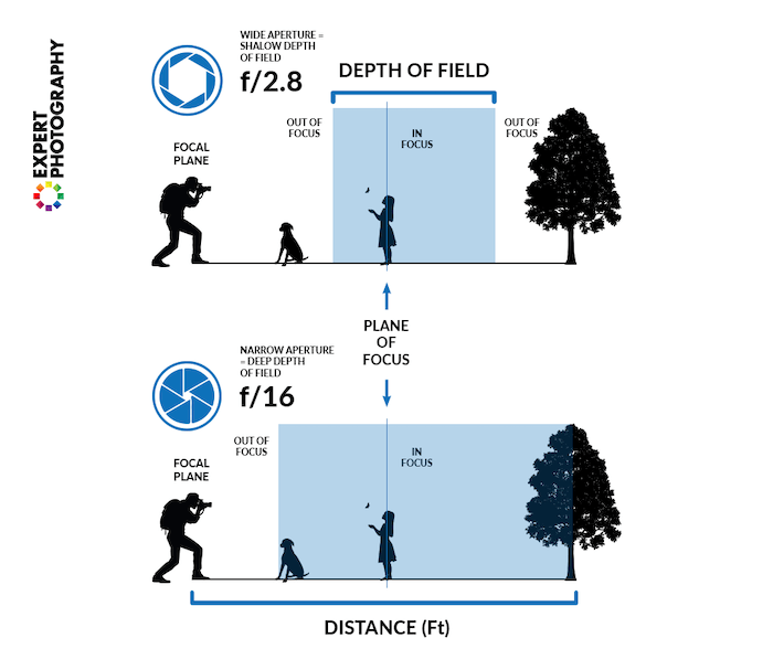 Infographic cheatsheet showing difference between narro and wide depth of field