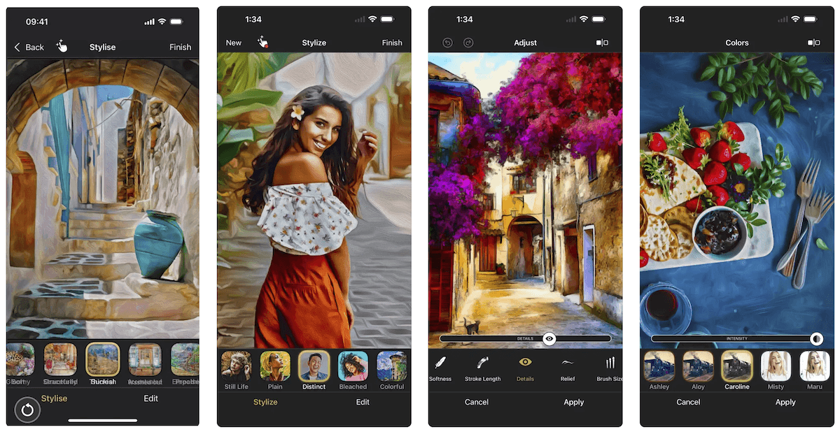 Screenshot of Oilbrush app to turn a photo into a painting