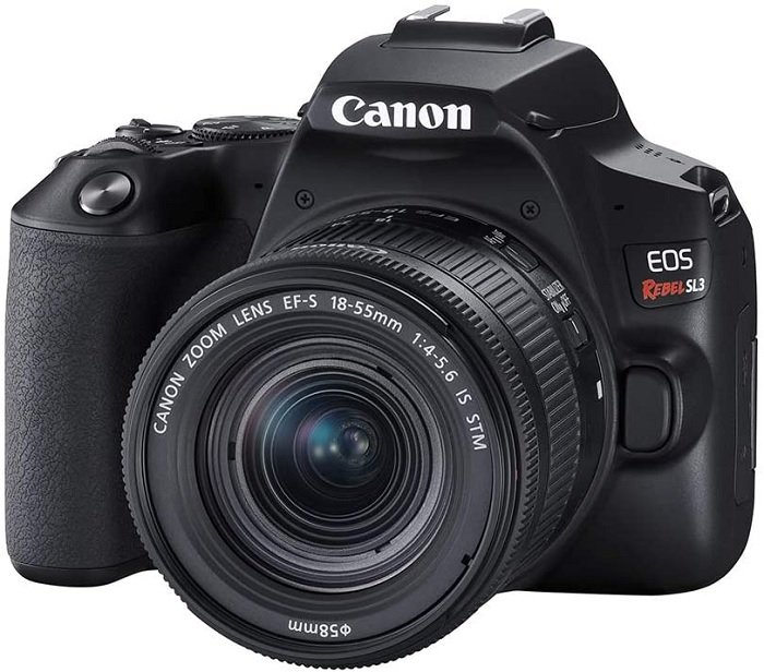 Canon EOS Rebel SL3, one of the best best canon cameras for beginners