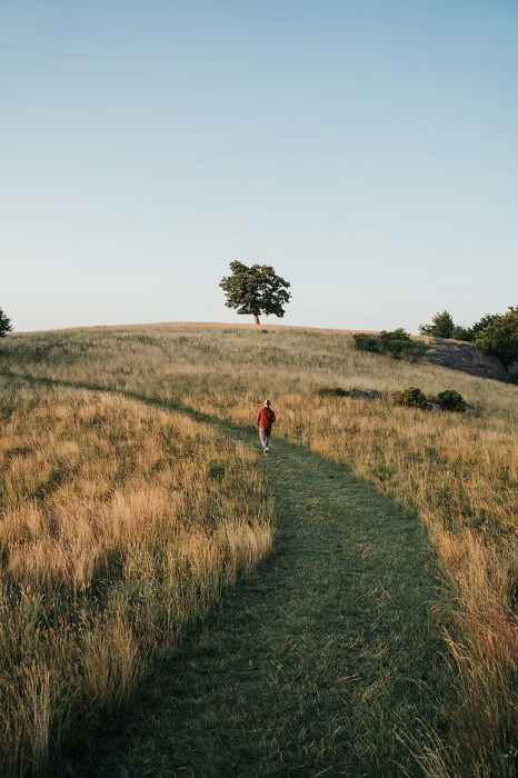 simple landscape photography