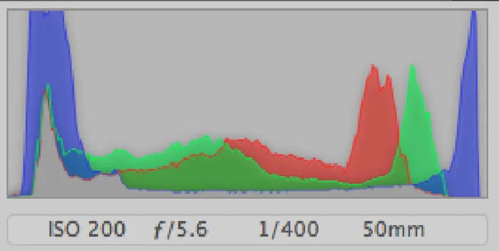 Screenshot of a histogram from a digital camera