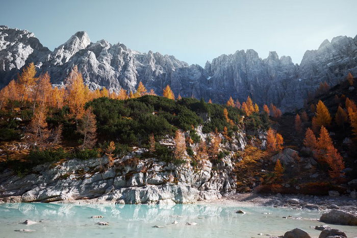 Rocky mountain landscape with some orange pine trees