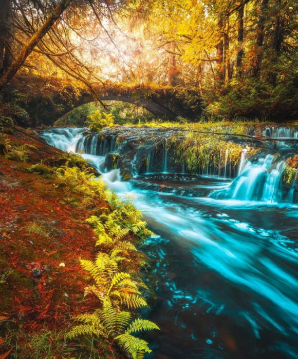 Streamside scene in a woodland with a stone bridge