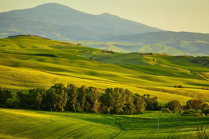 Landscape of green hills in the golden hour