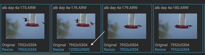 ON1 Resize AI screenshot of batch processing thumbnails showing image sizes