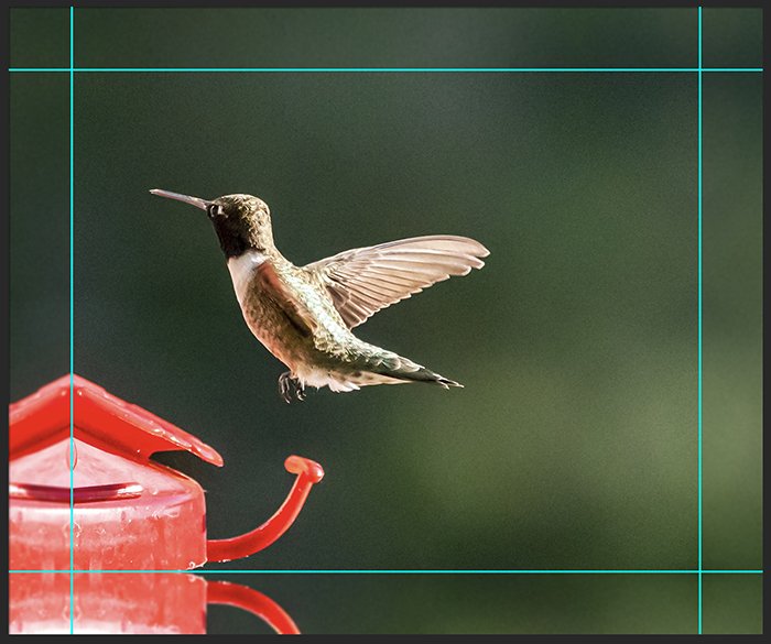ON1 Resize AI screenshot of gallery wrap option on a hummingbird image