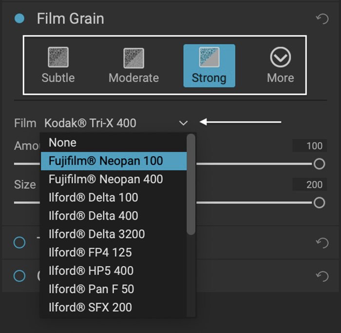 ON1 Resize AI film grain tools