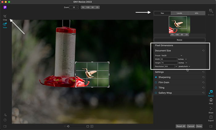 ON1 Resize AI screenshot workspace cropped hummingbird document size and pixel dimensions