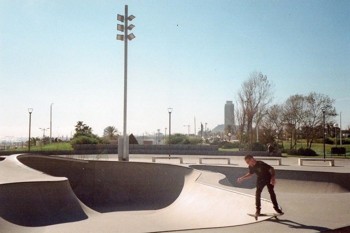 Solitary skateboarding on the edge of a skating bowl