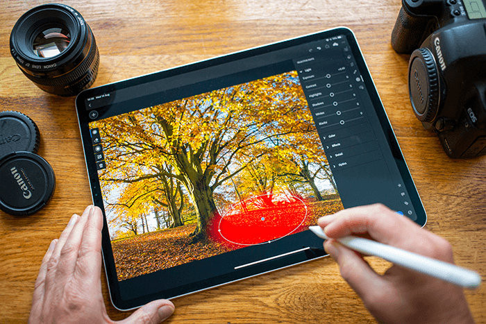 A person editing an autumn tree photo on a drawing tablet