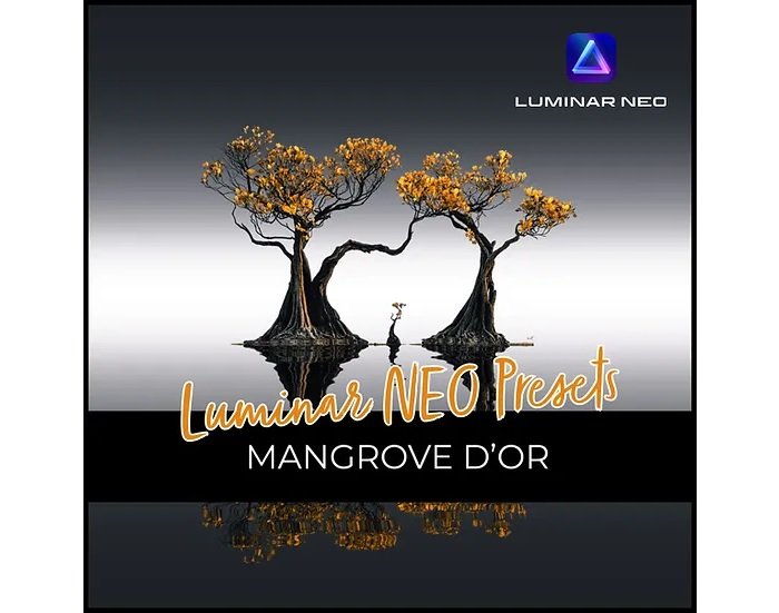 Product image for Mangrove D'or luminar preset